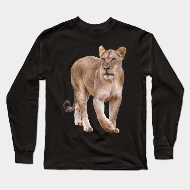 Lioness Long Sleeve T-Shirt by VANGORPPHOTOS